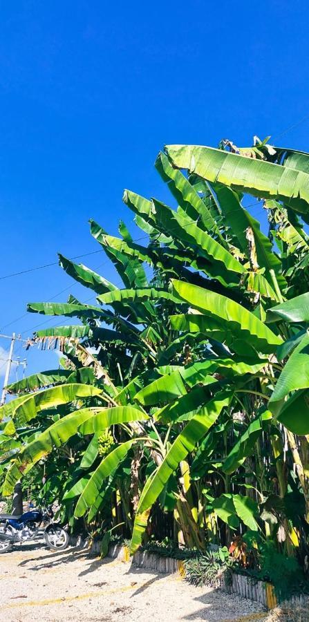Hotel Xa'An Bacalar Bagian luar foto